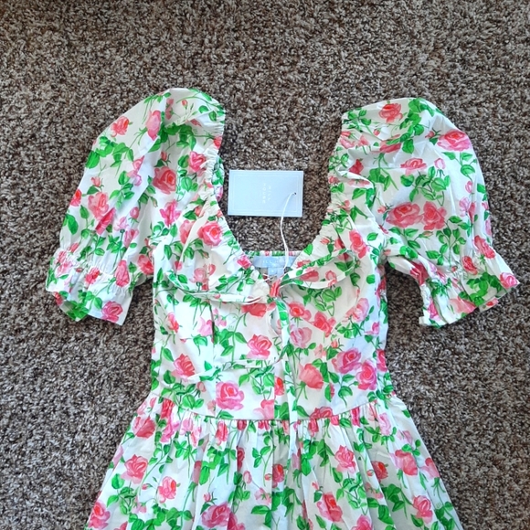 Hill House Pink Roses Pattern Ophelia Dress - Picture 3 of 6